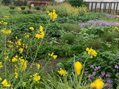 -前小桔亲子创意农场·草莓采摘·露营烧烤