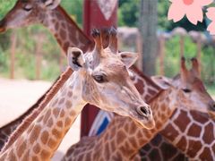 -杭州野生动物世界