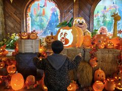 -郑州方特梦幻王国