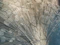 -贝林大翅鲸简餐厅(国家海洋博物馆店)