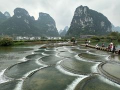 -明仕田园