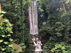 -新加坡飞禽公园