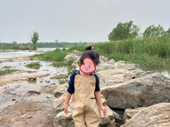 -绿堤公园