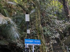 -七仙岭温泉国家森林公园