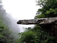 -庐山碧龙潭风景区
