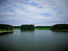 -洪湖生态旅游区