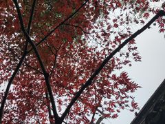 -浙江省博物馆(孤山馆区)