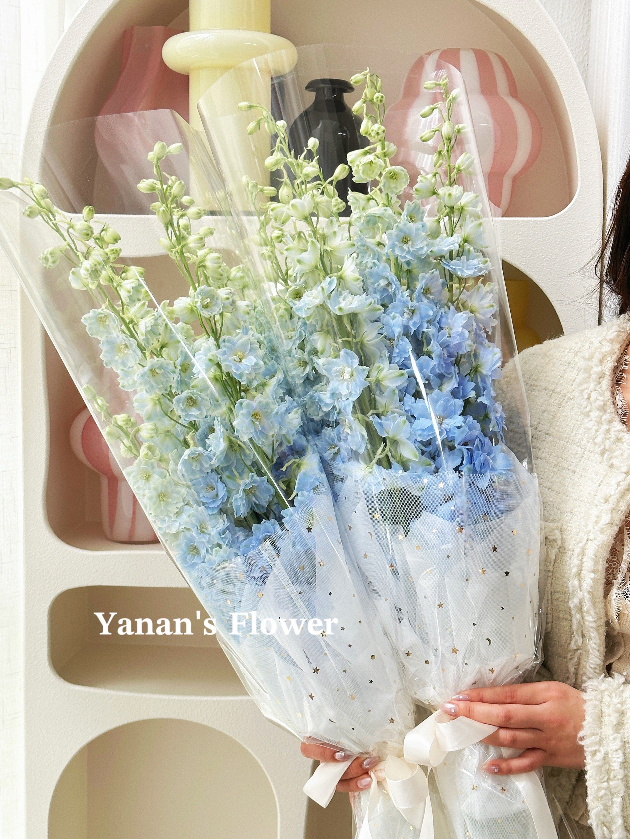 蓝色大飞燕花束yyds