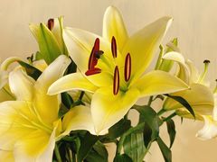 -森野花艺培训·企业团建活动沙龙