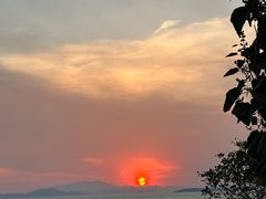 -小麦岛公园