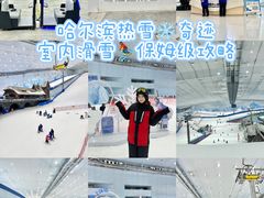 -哈尔滨热雪奇迹