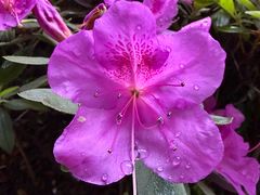 -龙湖重庆时代天街