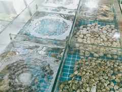 -海之鲜大排档(东山海鲜金銮湾店)
