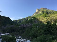 -秦岭风景区