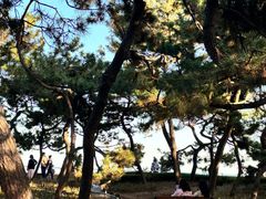 -青岛第二海水浴场