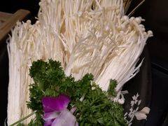 -捞王锅物料理(凯旋路店)