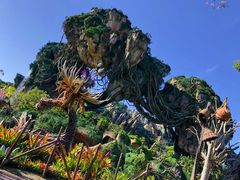 -奥兰多迪士尼动物王国乐园