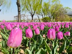 -廊坊文化艺术中心