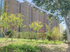 -坝河休闲公园
