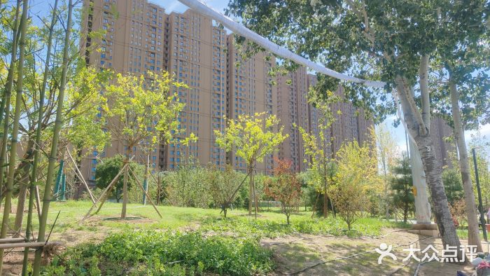 坝河休闲公园图片
