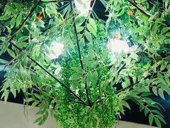 -肥佬大椰子鸡(三里屯3·3大厦店)