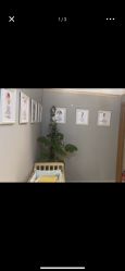 -Dr.林醫生产后修复·配方产康(南京江宁万达店)