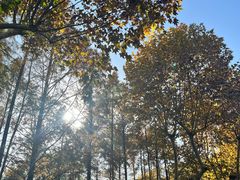 -浙江大学(紫金港校区)