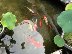 -道南書院·私房菜·早午茶·茶馆