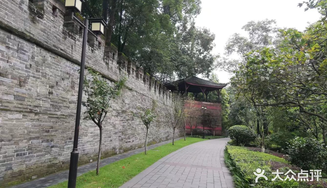 一个人在桂湖森林公园坐着发呆……