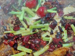 -老板恋上鱼(恒隆广场店)