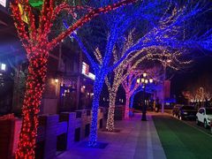 -廊坊固安福朋喜来登酒店