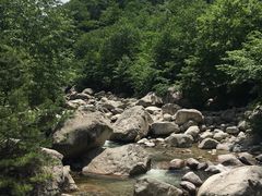 -青峰峡国家森林公园