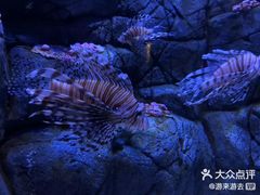 -成都浩海立方海洋公园