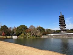 -上海方塔园
