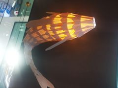 -老板恋上鱼(振华商厦店)