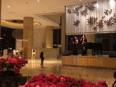 -成都保利公园皇冠假日酒店(熊猫基地店)