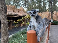 -北京野生动物园