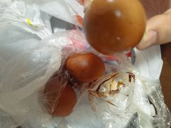 -隆盛园火勺馄饨面(十一纬路店)