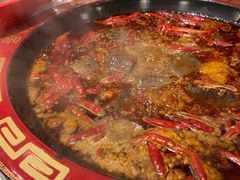 -蜀辣居鲜货老火锅(万象城店)