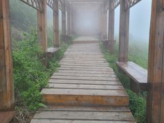 -白草畔自然风景区