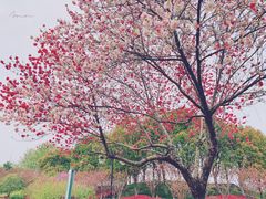 -凤城河风景区