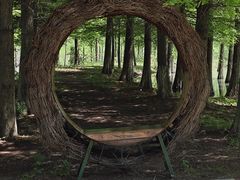 -泗洪洪泽湖湿地景区