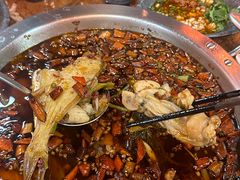 -耗儿鱼蛙蛙叫·老成都火锅(蛇口海昌街店)