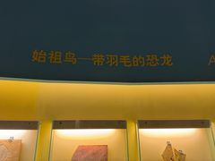 -辽宁古生物博物馆