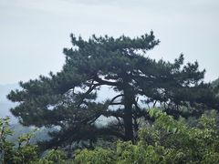 -东天目山风景区