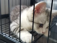 -宠颐生宠物医院(·宠保定点·鹰潭分院)