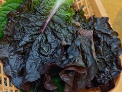 -高基五春川炒鸡排(威海总店)