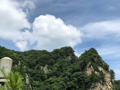 -王顺山国家森林公园