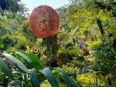 -深圳仙湖植物园
