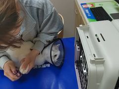 -瑞鹏宠物医院·骨外科·心肾科·肿瘤科(九亭店)